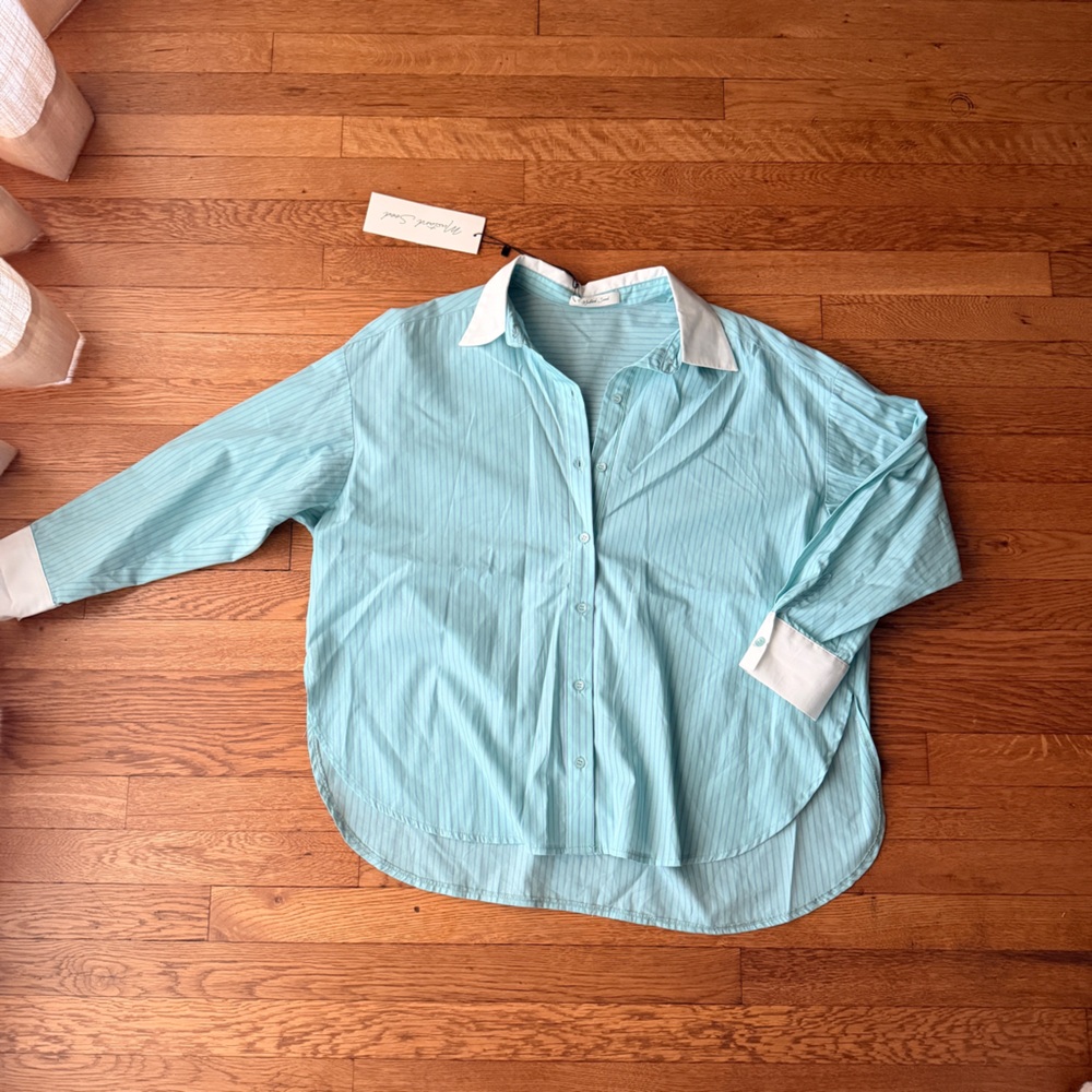 Mustard Seed Light Blue and White Striped Button-Up Shirt